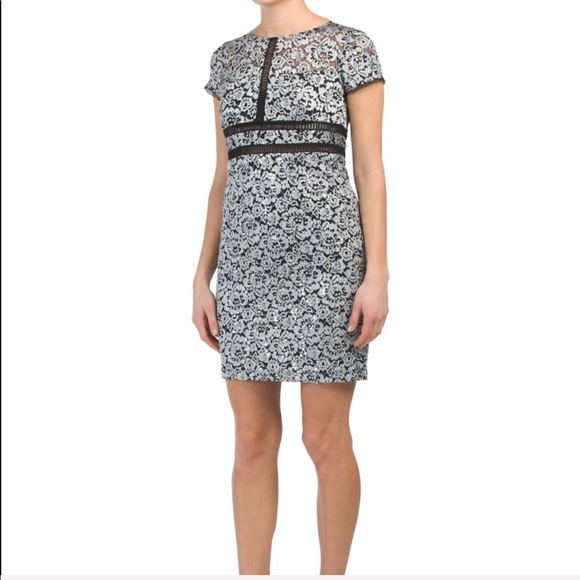 Scarlet Petite Lace Dress - Picture 7 of 8